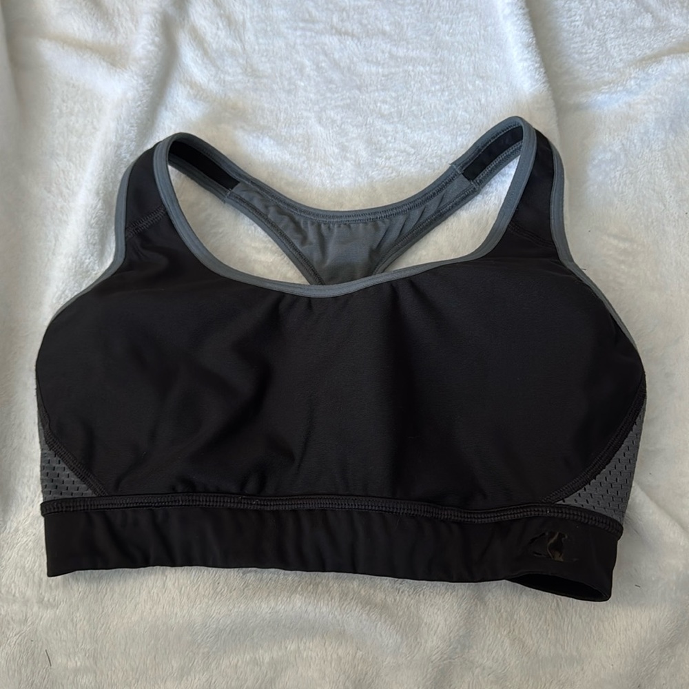 champion bra
